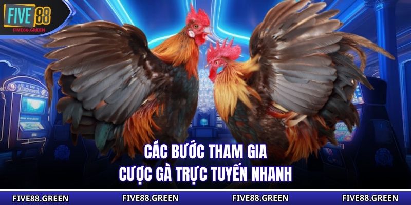 Các bước tham gia cược gà trực tuyến nhanh
