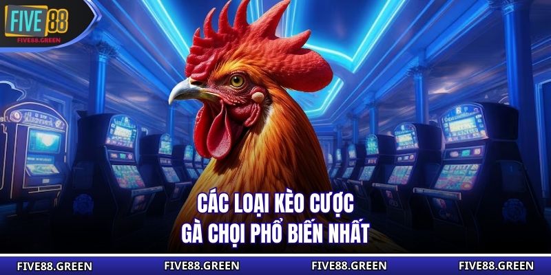 Các loại kèo cược gà chọi phổ biến nhất