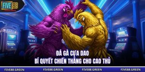 Đá Gà Cựa Dao