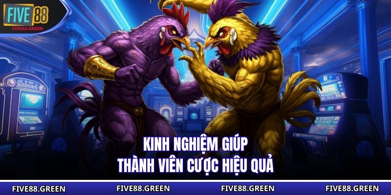 Kinh nghiệm giúp thành viên cược hiệu quả