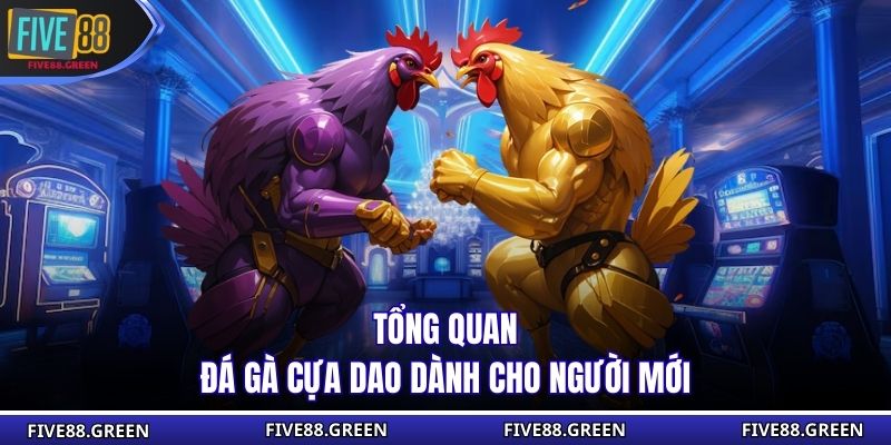 Tổng quan đá gà cựa dao dành cho người mới